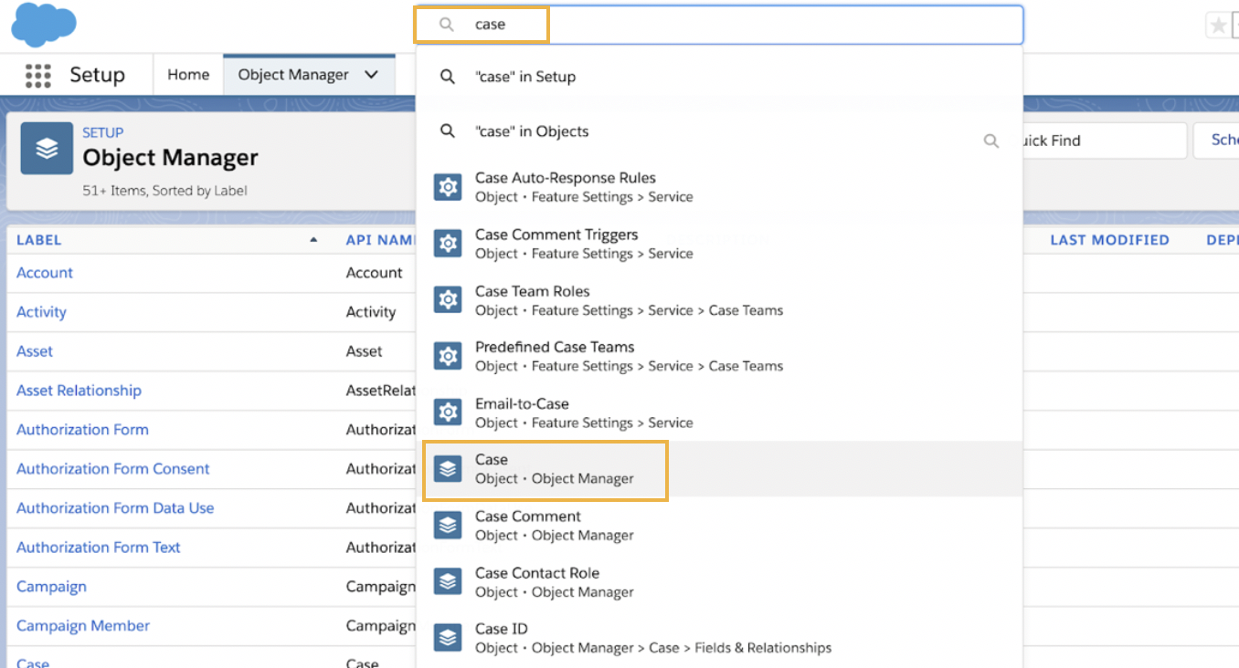 Selecting the Case within Object - Object Manager in the Salesforce