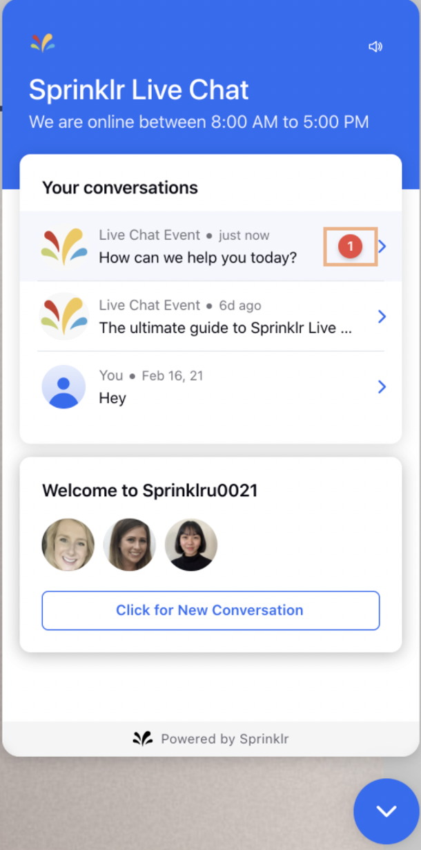 Persistent Notifications on Page Refresh on Sprinklr Live Chat Widget