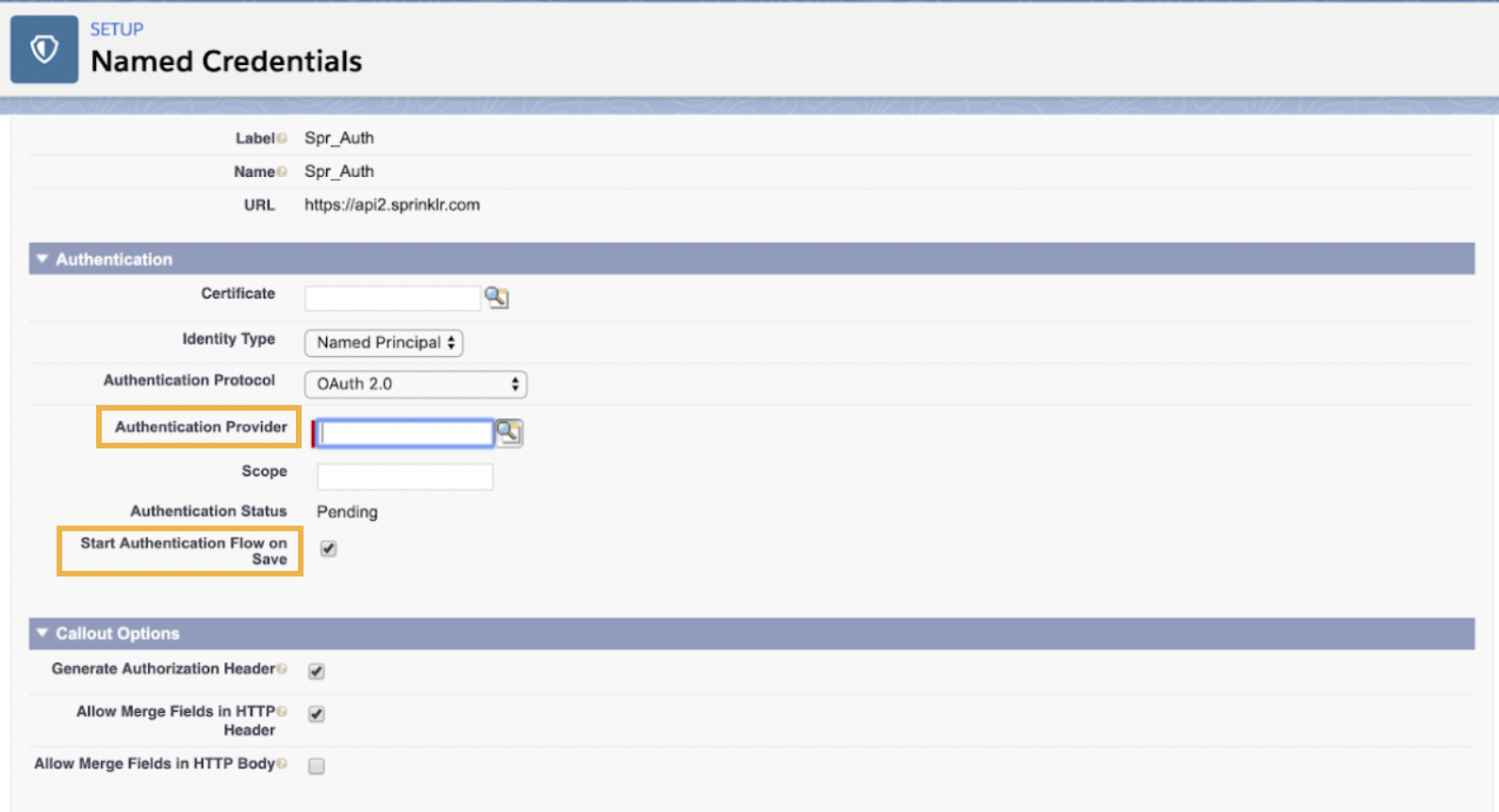 Selecting Authentication Provider as Sprinklr on the Named Credentials window