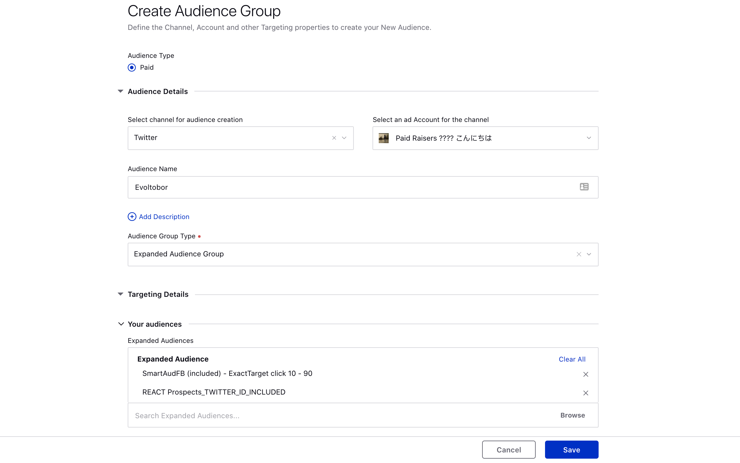 Audience Group details window