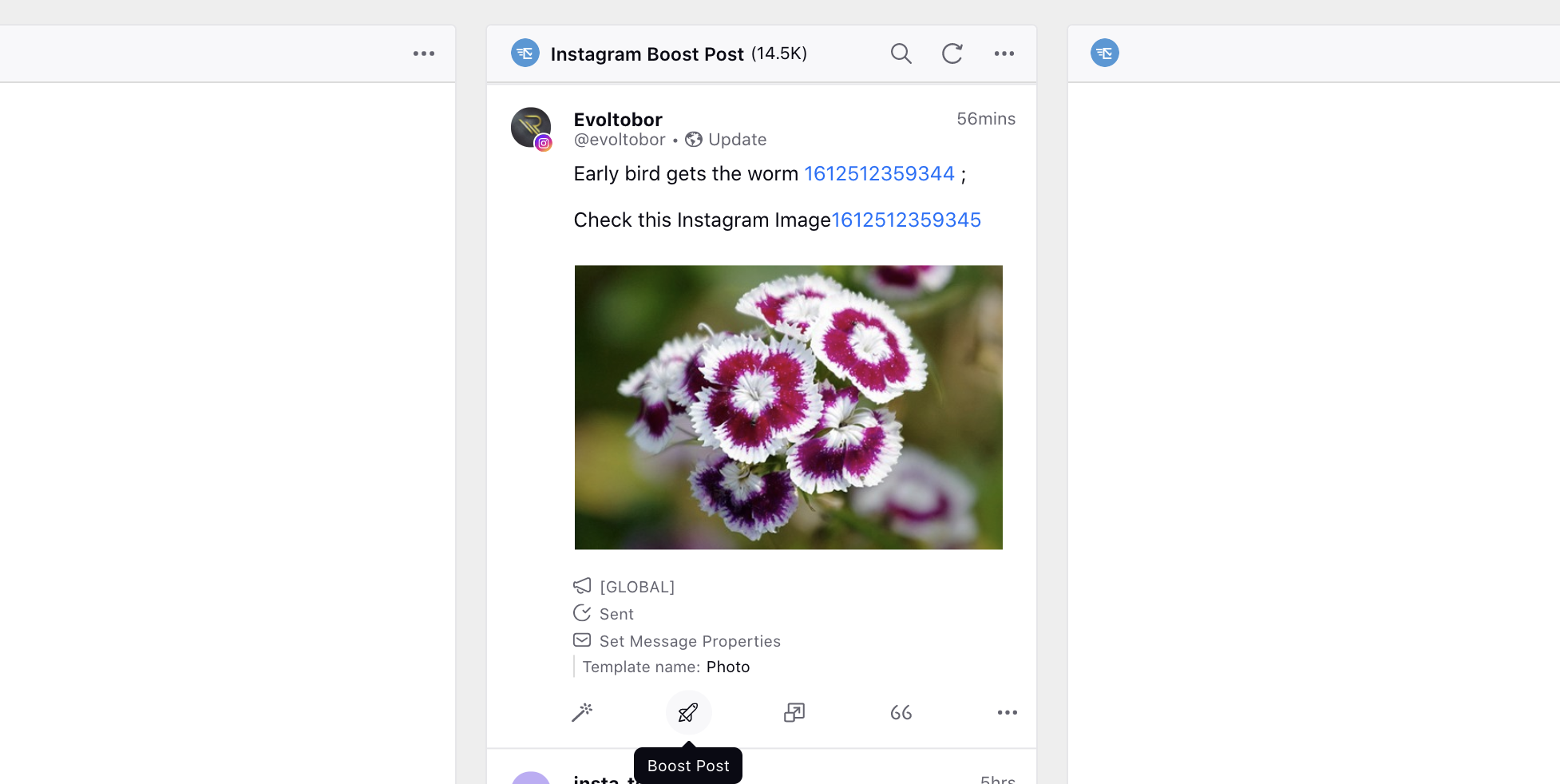 Boosting Instagram Organic Post