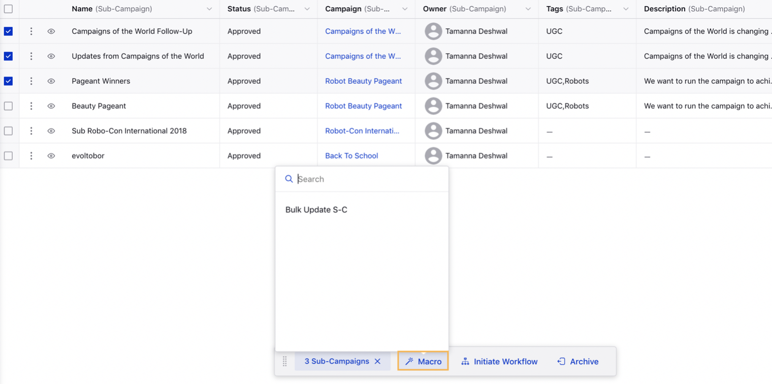 Bulk Updating Sub-Campaigns via Macros