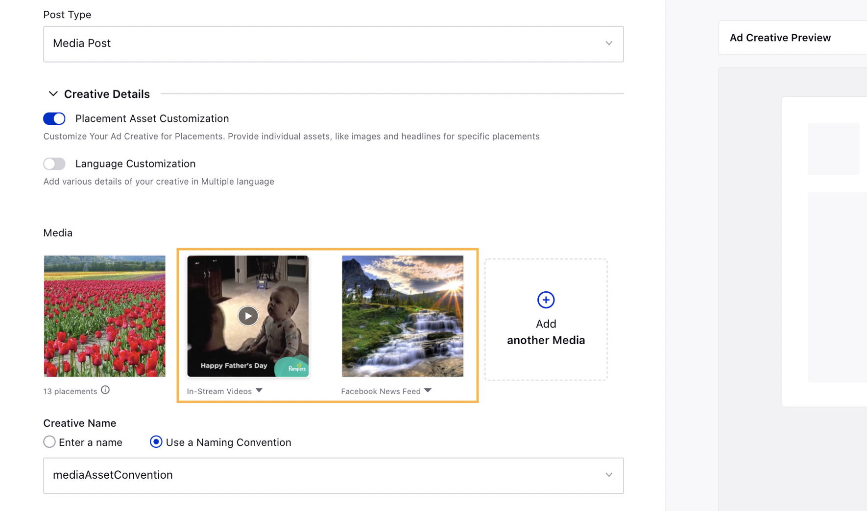 Image and Video posts in Placement Asset Customization